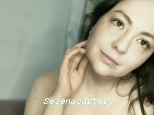 Selenacartery
