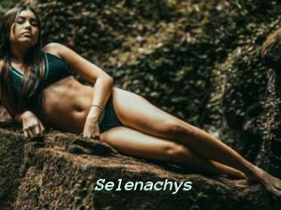 Selenachys