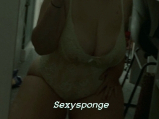 Sexysponge