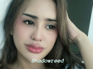 Shadowreed