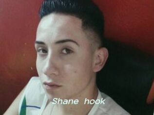 Shane_hook