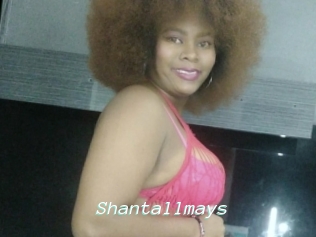 Shantallmays