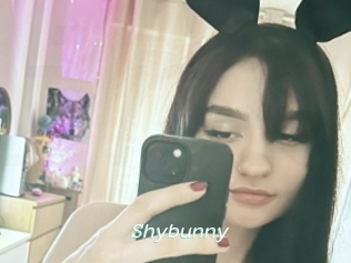 Shybunny