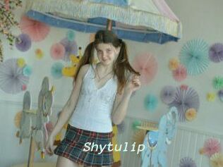 Shytulip
