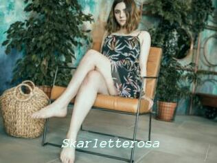 Skarletterosa