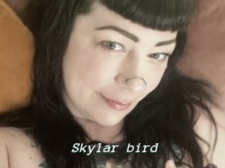 Skylar_bird