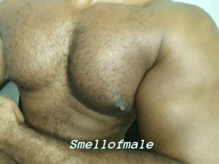 Smellofmale