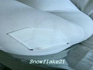 Snowflake21