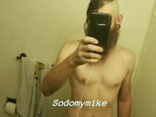 Sodomymike