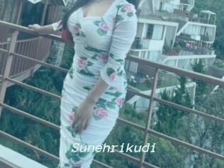 Sunehrikudi