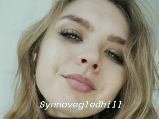 Synnovegledhill