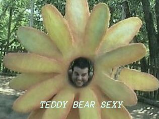 TEDDY_BEAR_SEXY