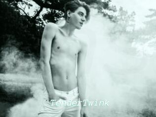 TenderTwink
