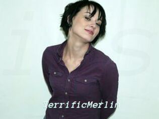 TerrificMerlin