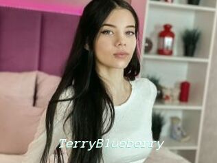 TerryBlueberry