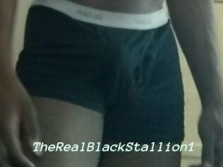TheRealBlackStallion1
