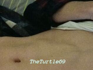 TheTurtle69