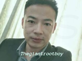 Thegiantrootboy