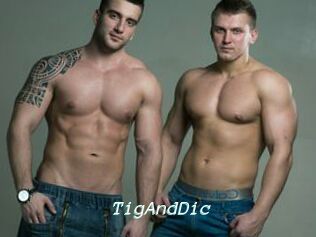 TigAndDic