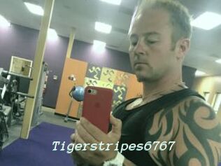 Tigerstripes6767