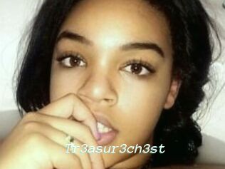 Tr3asur3ch3st