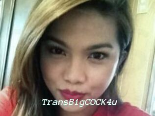 TransBigCOCK4u