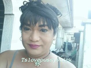 Tslovepussystick