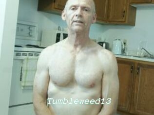 Tumbleweed13