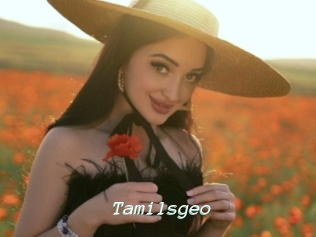 Tamilsgeo