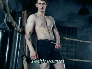 Teddreamer
