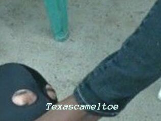Texascameltoe