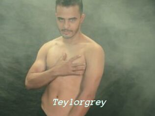 Teylorgrey