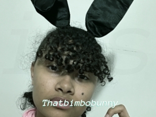Thatbimbobunny