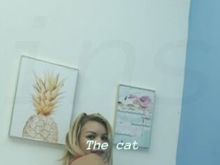 The_cat