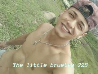 The_little_bruette_228