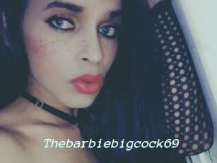 Thebarbiebigcock69