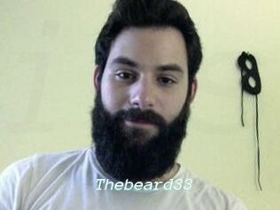 Thebeard33