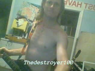 Thedestroyer100