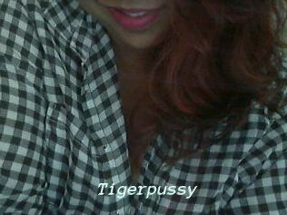 Tigerpussy
