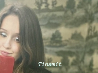 Tinamit