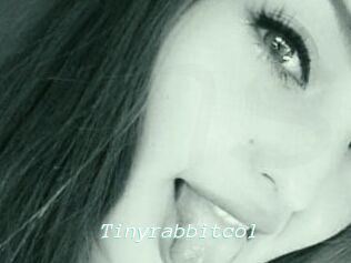 Tinyrabbitcol