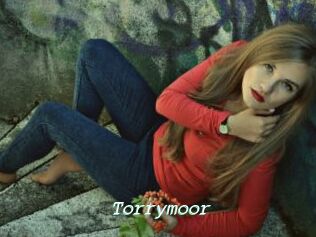 Torrymoor