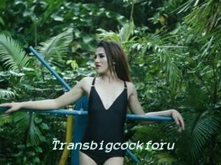 Transbigcockforu
