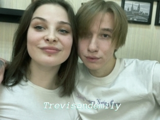 Trevisandemily