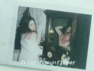 Trippingsunflower