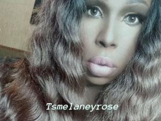 Tsmelaneyrose