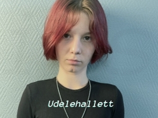 Udelehallett