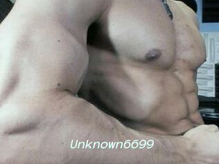 Unknown6699