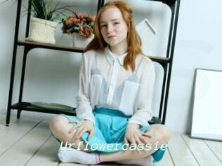 Urflowercassie