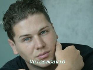 VelosaDavid